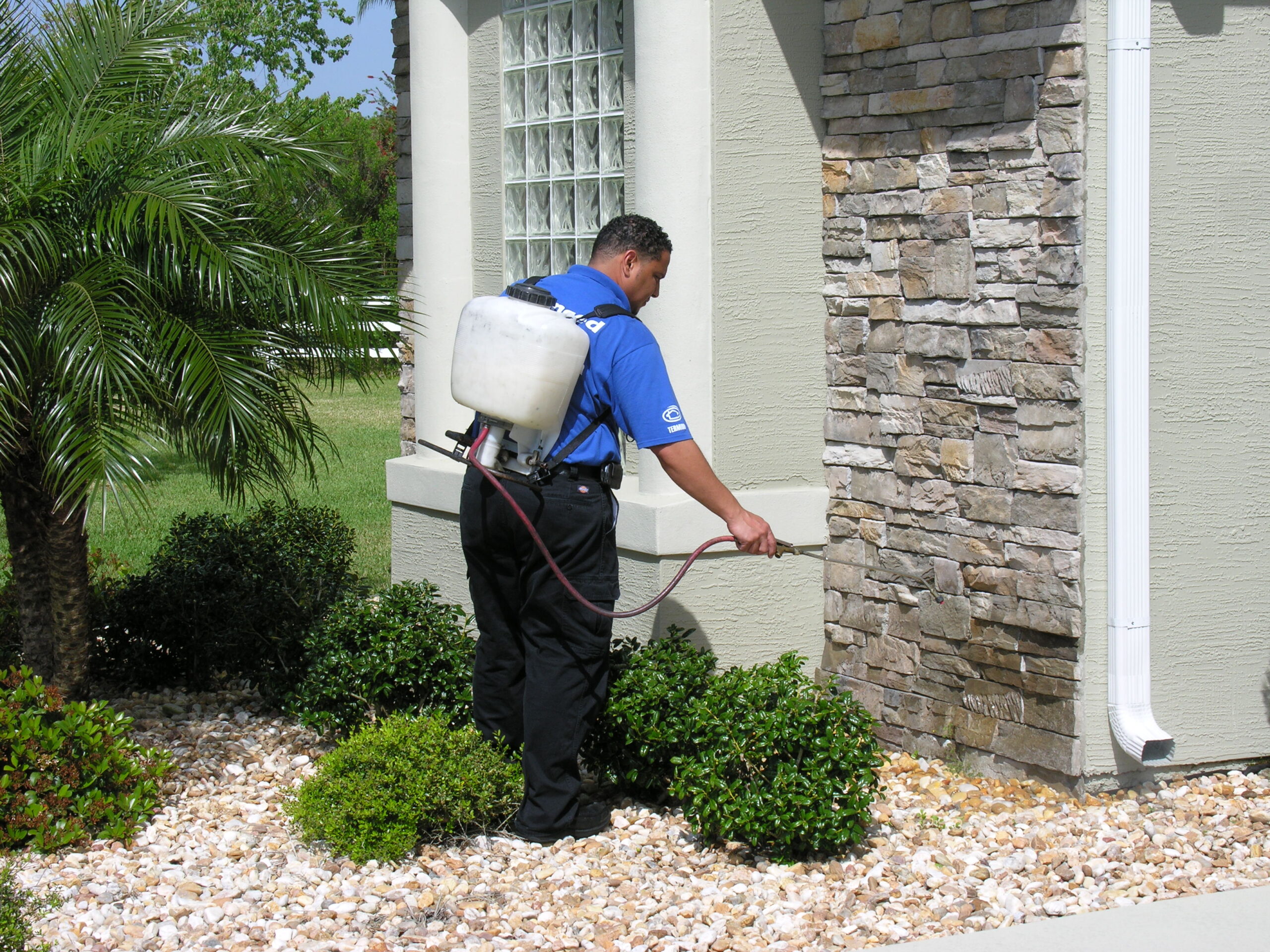 dscn2349 scaled 1 1.jpg