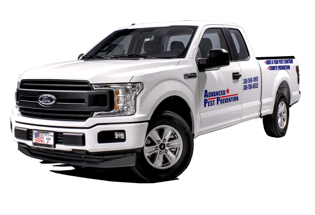 truck profile copy 1 2048x1399